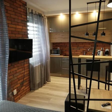 Czerwona Cegla Apartament زيلونا غورا المظهر الخارجي الصورة